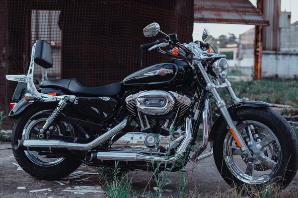 What are the best practices for maintaining the belt drive system on a Harley-Davidson Softail Slim?